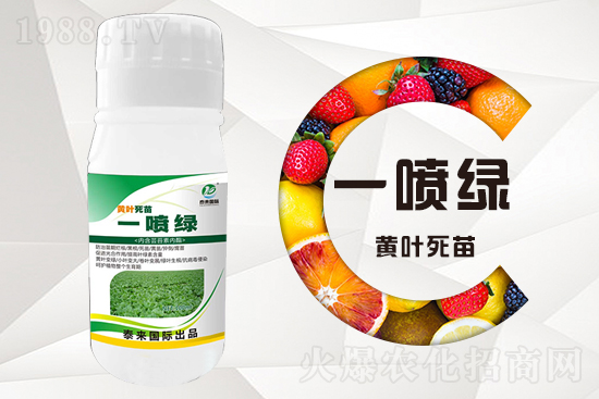 大棚蔬菜育苗為什么容易死苗？怎么解決？