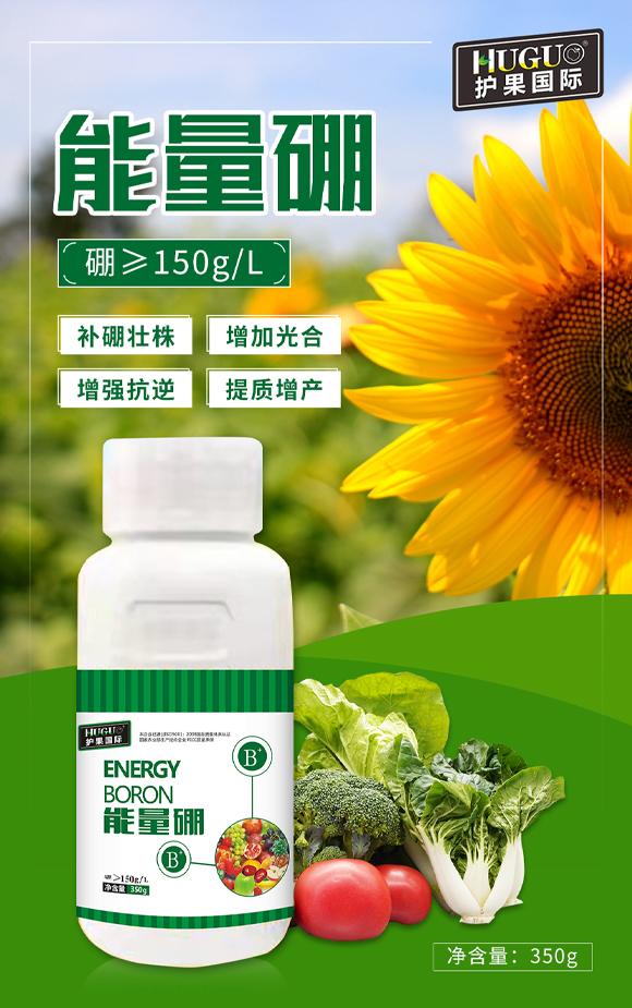 護(hù)果國際855863_01