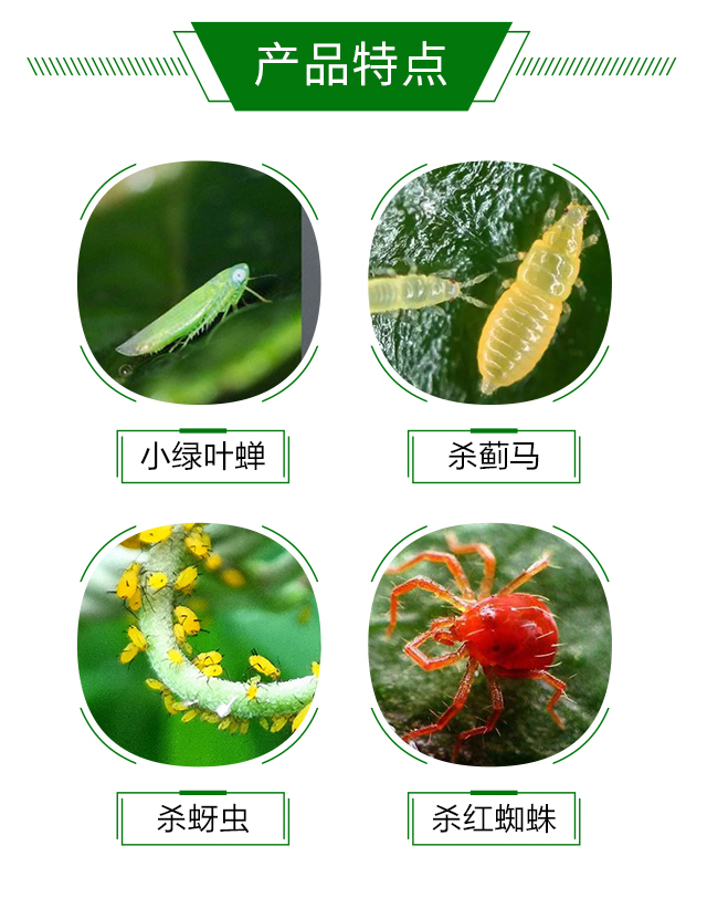 20%噻蟲·高氯氟(紅)-藍虎_03