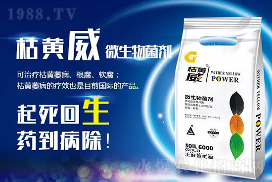 枯黃萎、立枯等病害怎樣滅殺？用它就夠了！