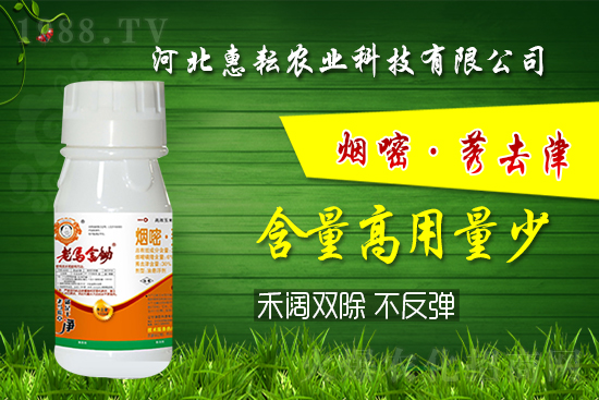 封殺雙效!禾闊通除!玉米田除草記住這個配方就夠了!