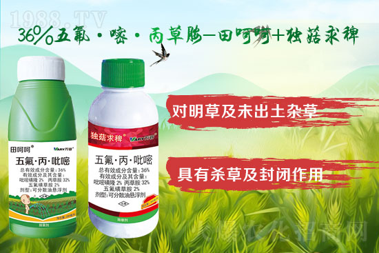 2022.4.12�O(p��ng)�����݄��r(ji��)������