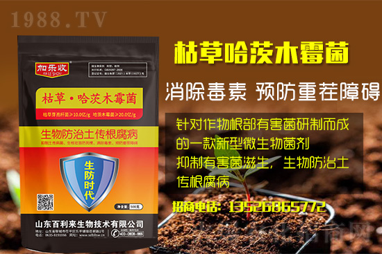 根腐病爆發(fā)怎么防治，根腐病用什么藥好防治效果好？