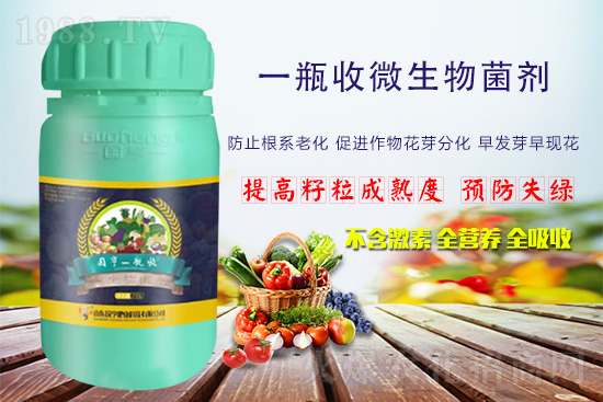 火爆農(nóng)化網(wǎng)喜迎新盟友，攜手國亨肥業(yè)共走財(cái)富之路！