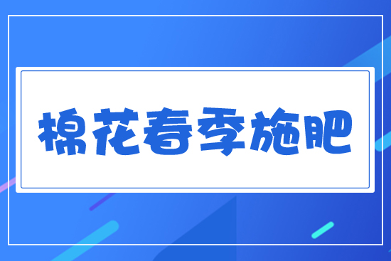 棉花春季施肥