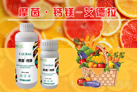 果樹補鈣黃金期來了，如何補好鈣鎂肥？