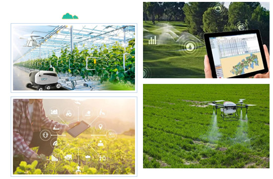 2022哈爾濱農(nóng)資博覽會18