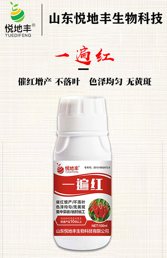 �����߼t��ʩ��ô�������������ǰ���У������߼tˎʲô�r(sh��)������