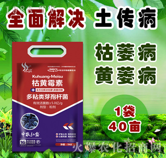 細菌性病害有哪些?防治藥劑怎么選?一篇文章說明白