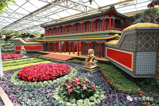 第二十三屆壽光菜博會1