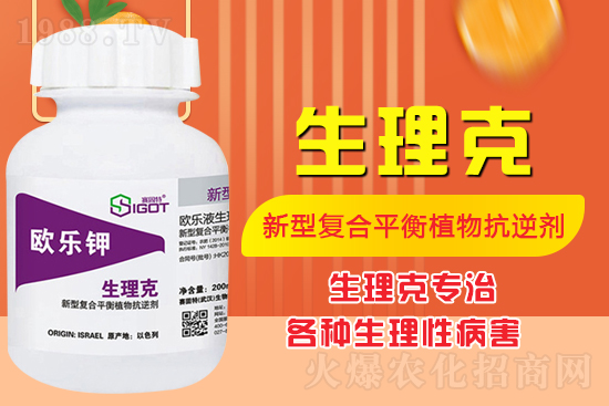 番茄臍腐病有什么癥狀？怎么解決番茄臍腐??？