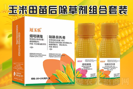 玉米除草效果差，什么原因？玉米除草劑怎么選？