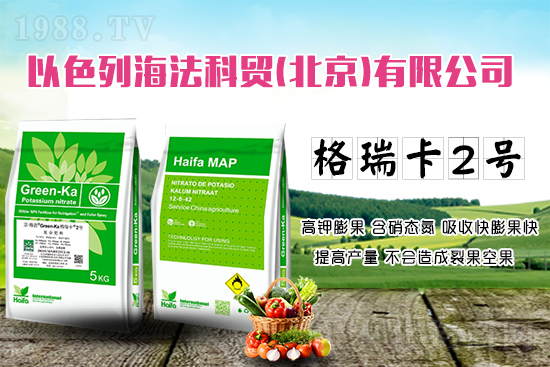 果蔬膨果增產(chǎn)的秘密！杜絕裂果空果，以色列原裝進(jìn)口，配方萬里挑一！