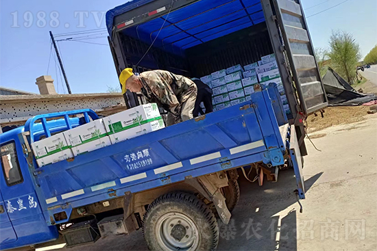 暢銷爆品！實(shí)力廠家！格瑞卡2號發(fā)貨不停歇