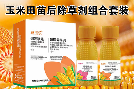 玉米除草劑怎么打才又有效？