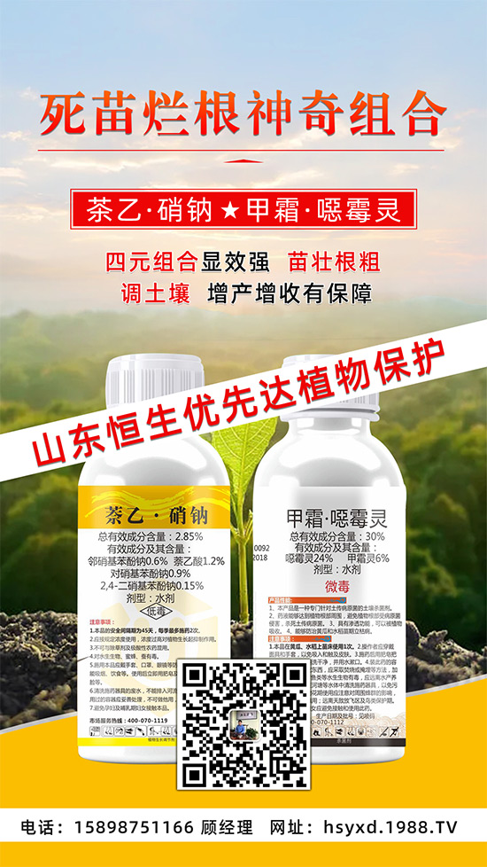 根腐、立枯、死苗爛根導(dǎo)致作物的“元兇”！這樣防治輕松搞定！