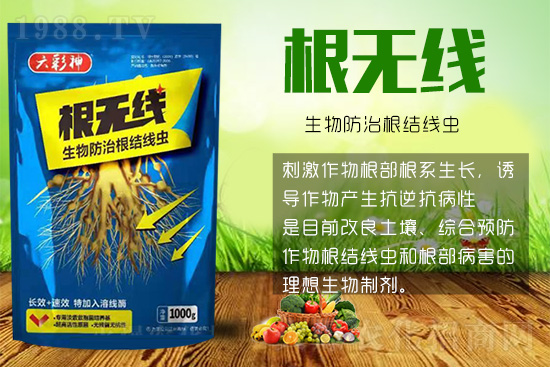 根結線蟲殺死容易殺絕難！這樣防治效果好到驚人！