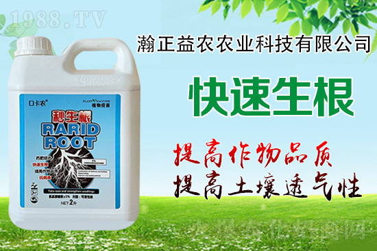 作物根系決定作物產(chǎn)量!這樣做,根系發(fā)達,白根多,用肥少!