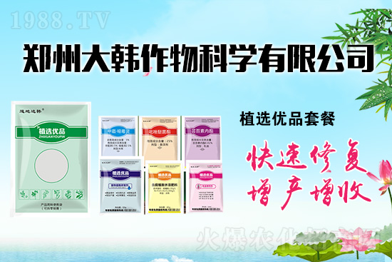 作物藥害肥害頻發(fā)怎么辦？發(fā)生藥害肥害如何補救？