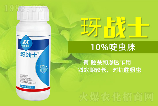 早春蚜蟲很容易大爆發(fā),怎么避免黃瓜蚜蟲危害?