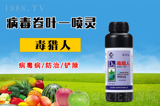 病毒病危害時(shí)期，怎么做好防治？