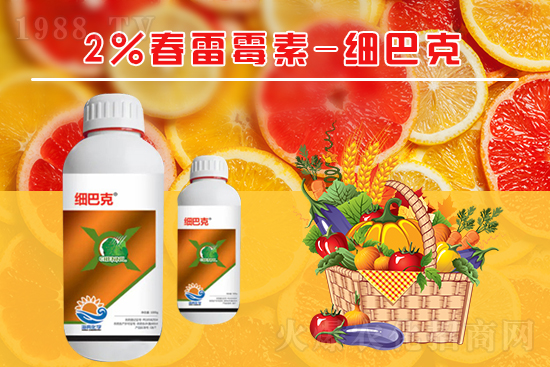 番茄潰瘍病怎么辦？聽聽專家怎么說！