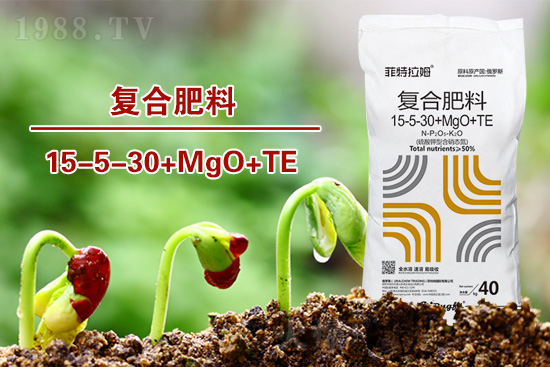 湖北：2022年春播玉米生產技術指導意見