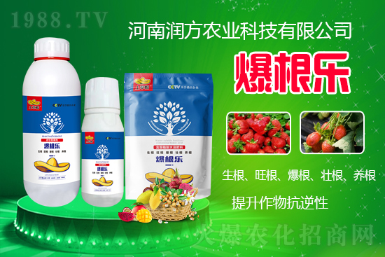 河南潤(rùn)方農(nóng)業(yè)科技有限公司【微生物菌劑-爆根樂-土草帽】可幫助植物建立強(qiáng)壯強(qiáng)大的根系,促進(jìn)植物對(duì)土壤養(yǎng)分、水分與氣體的吸收利用。生根、旺根、爆根、壯根、養(yǎng)根,增強(qiáng)抗逆性。