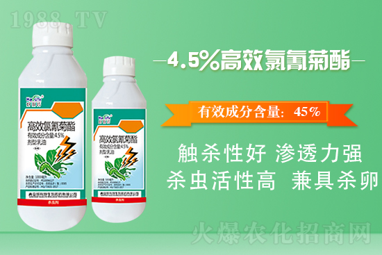 白菜菜青蟲有什么危害？白菜菜青蟲防治