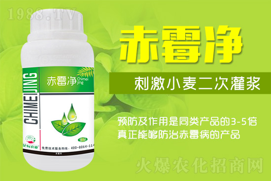 緊急提醒：未來(lái)十天是小麥赤霉病防治關(guān)鍵期！務(wù)必抓住！