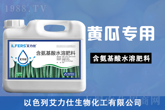 黃瓜苗期，該如何做好管理要點(diǎn)？