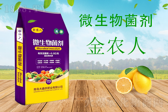 甜瓜枯萎病危害期，怎么有效防治？