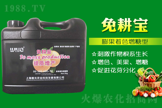 番茄催紅措施怎么做？有什么技巧？