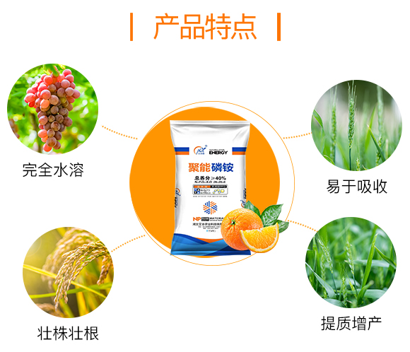 河北艾谷農(nóng)業(yè)科技有限公司_03