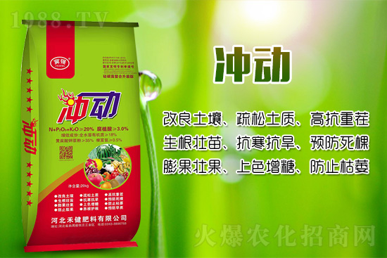 辣椒移栽后幼苗生長緩慢的原因！