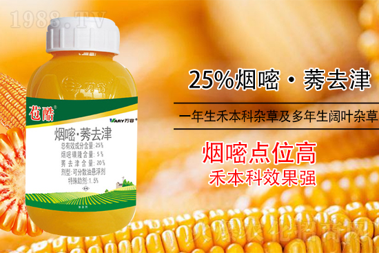 玉米除草，別用這幾種除草劑！