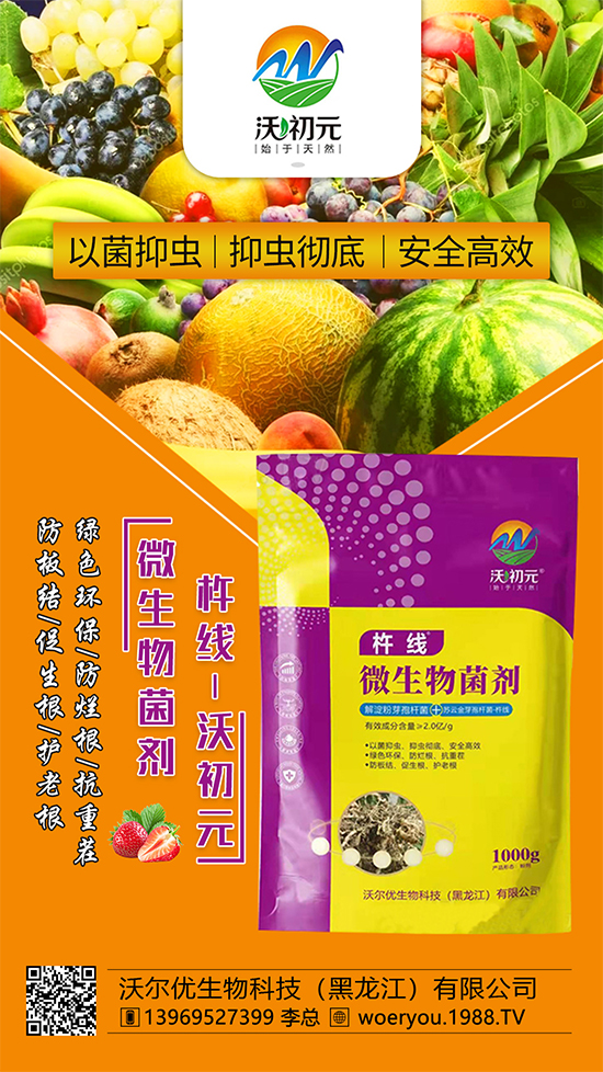 作物的根系,決定作物的產(chǎn)量