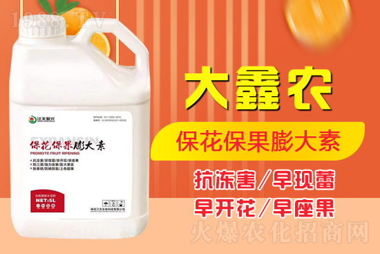 夏季保果膨大少不了，如何保果膨大？