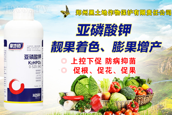 2022年4月7日磷銨市場(chǎng)價(jià)格行情報(bào)價(jià)