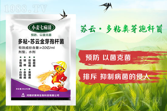 四月小麥赤霉病多發(fā)，不要錯過防治時間！