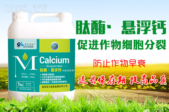 蘋(píng)果樹(shù)花后補(bǔ)鈣很關(guān)鍵!蘋(píng)果補(bǔ)鈣的四個(gè)誤區(qū)你知道嗎?