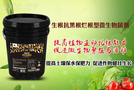 作物黑根爛根、黃苗弱苗頻發(fā)？用“它”輕松解決！百萬種植戶都在用！