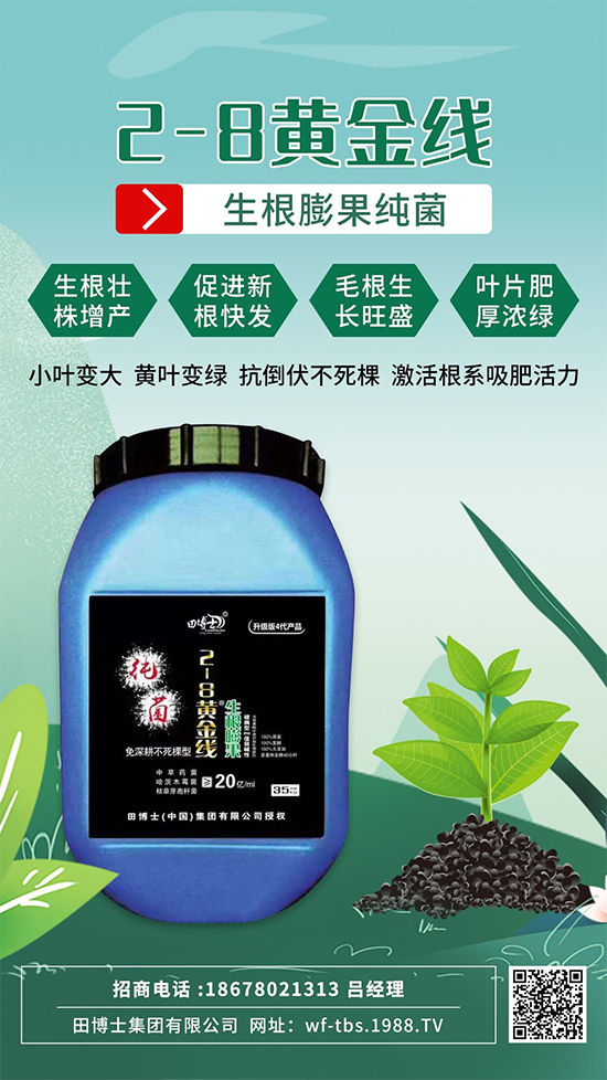 根是肥的嘴，萬物生長(zhǎng)靠根系！作物爆發(fā)生根試試這一招! 