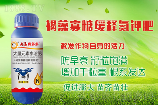 大蒜高產(chǎn)收益高，蒜頭膨大措施有哪些？如何施肥