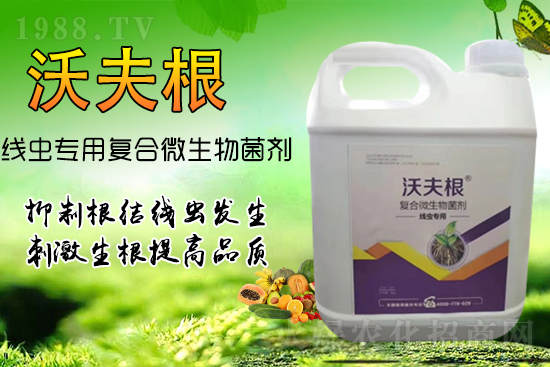 根結線蟲侵染作物根部？教你幾招，不反彈效果更!