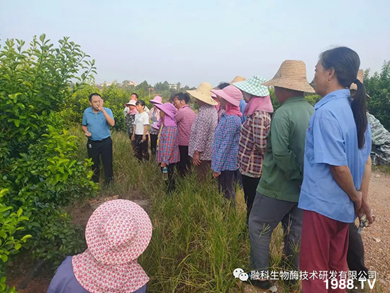 走進(jìn)田間地頭，助力柑橘產(chǎn)業(yè)