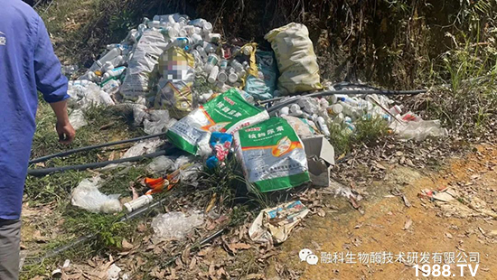 走進(jìn)田間地頭，助力柑橘產(chǎn)業(yè)