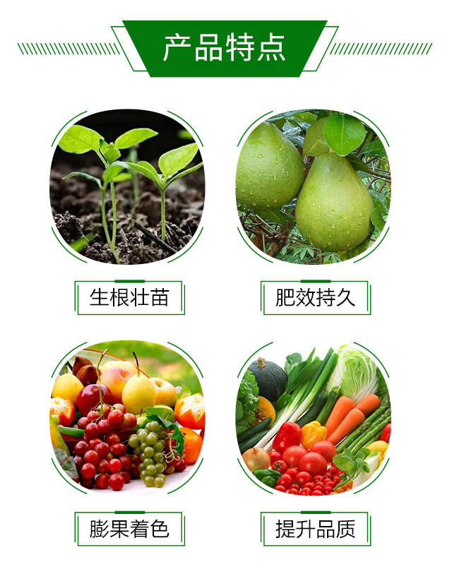 根果多-玖達農(nóng)業(yè)_03