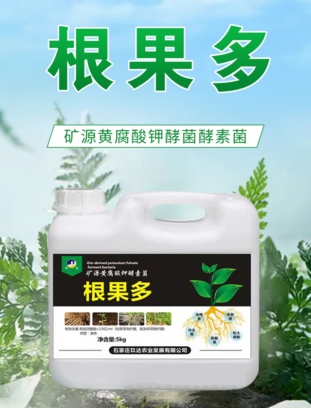 根果多-玖達農(nóng)業(yè)_01