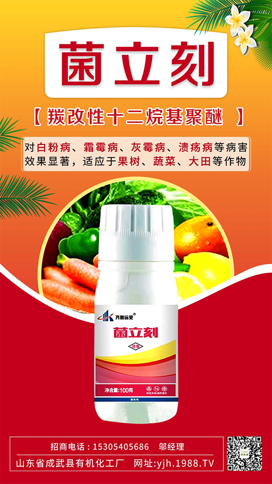 葡萄霜霉病還是白粉??？別再傻傻分不清了！如何分辨及防治？